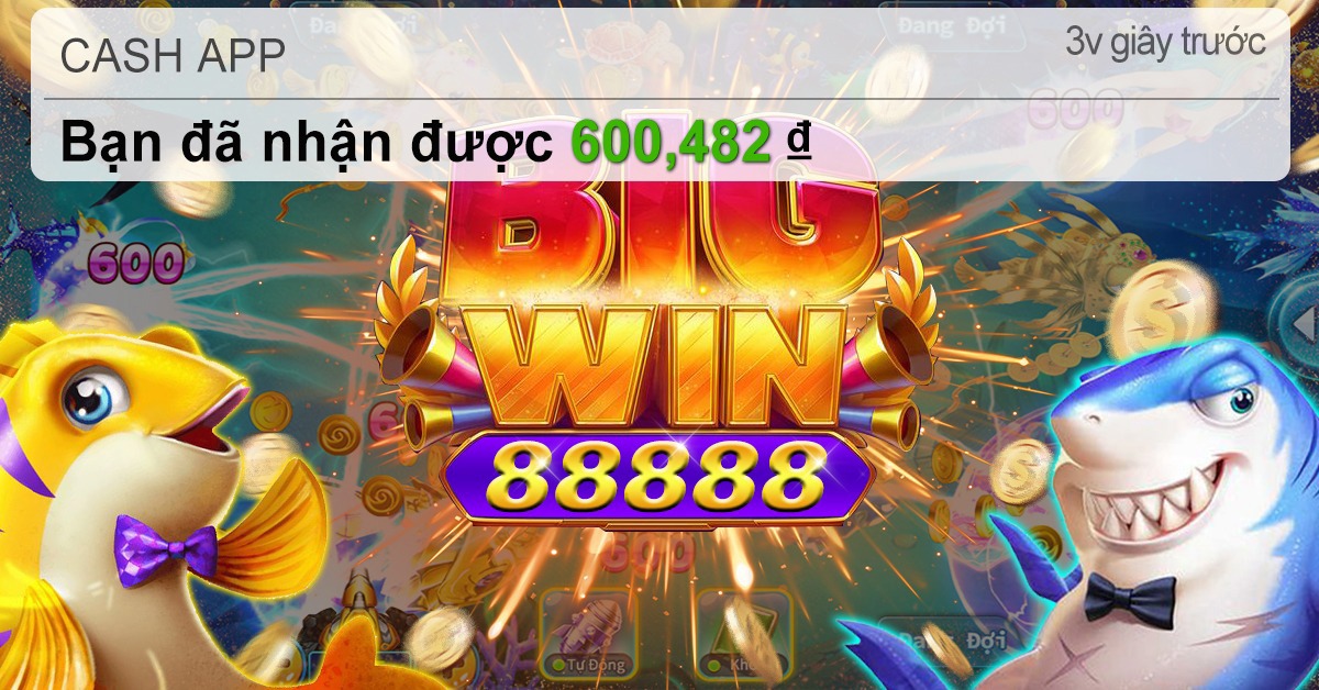 88vv